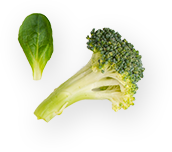 Brocolli